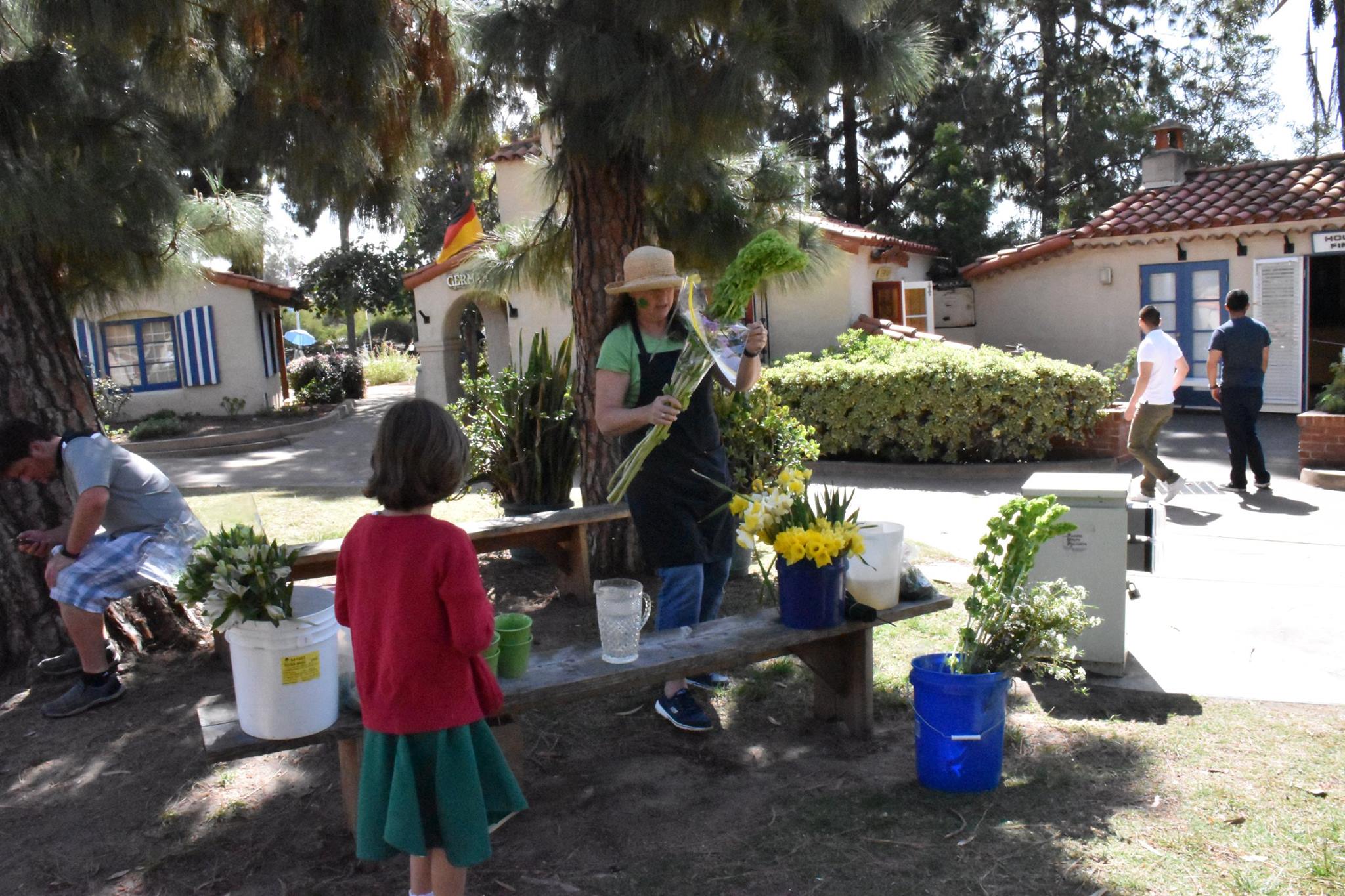 2016 Lawn Program